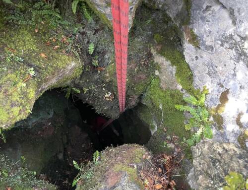 À Cuges-les-Pins, les pompiers sauvent un chien tombé dans une cavité de 10 mètres