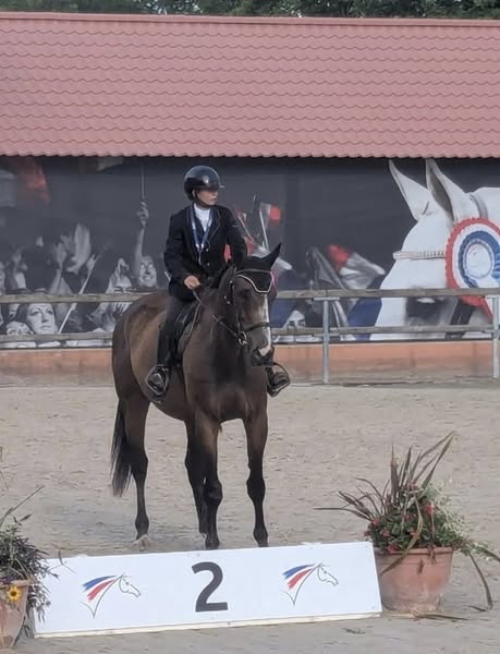 Cuers équitation