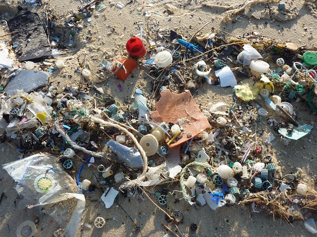 World Cleanup Day 2025 Déchets plastiques sur plages varoises Microplastiques alimentation santé Une tonne de déchets marins a été extraite des eaux de Golfe-Juan nettoyons le sud solidarité rave party 10 tonnes de déchets Semaine européenne de la réduction des déchets