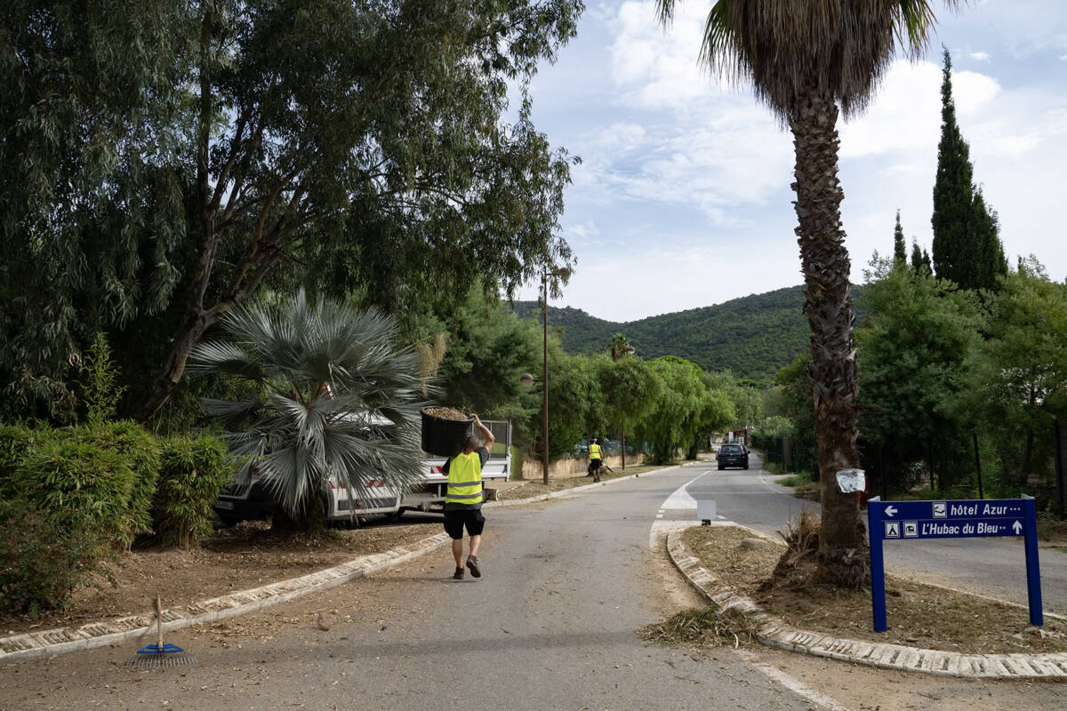 Cavalière Lavandou chantier