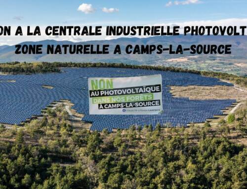 Photovoltaïque en forêt : un débat public relancé par un live organisé à Camps-la-Source