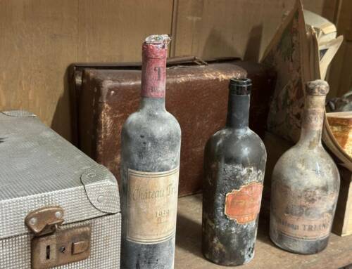 Un terroir atypique pour un vin d’équilibre : entre fraîcheur et identité