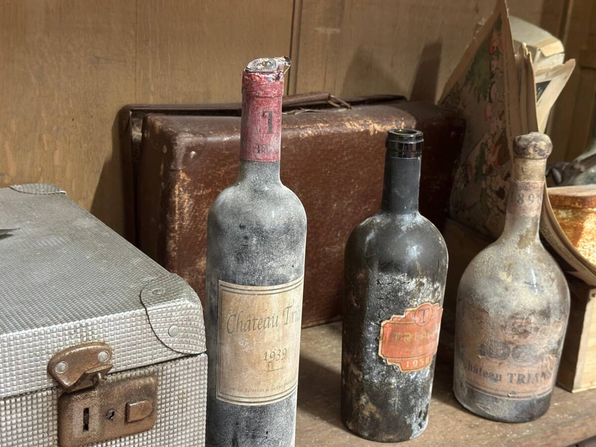 Trians terroir vin