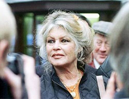 Brigitte Bardot de retour chez elle après une intervention chirurgicale réussie à Toulon