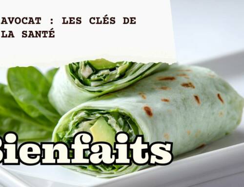 L’Avocat : vous pensez qu’il est “sain” ? Faut qu’on en parle.