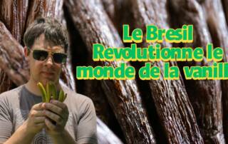 Le Brésil, Nouvel Eldorado de la Vanille Entre Rêve de Super Vanille et Menace du Cerrado