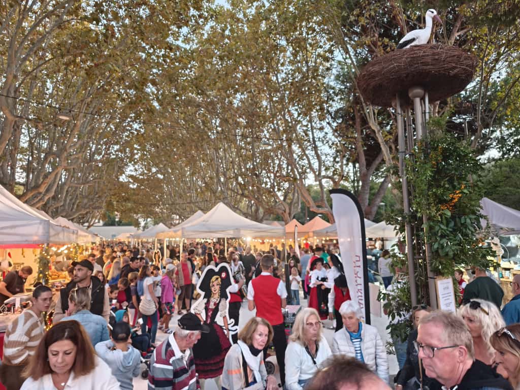MARCHE ALSACIEN SAINT CYR 2025