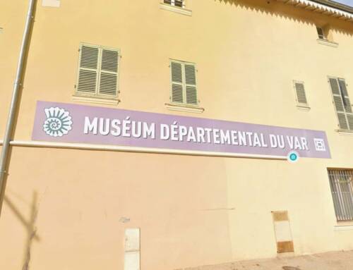 Dernières découvertes au Muséum départemental de Toulon avant sa grande rénovation