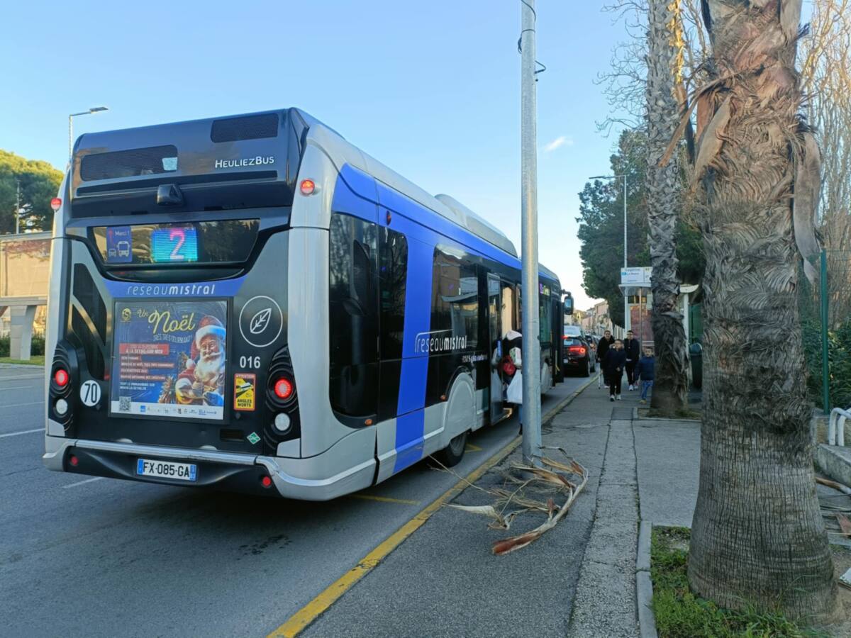 Nouvelle ligne 2 Réseau Mistral Réseau Mistral été 2025 Nouvelle ligne 2 Réseau Mistral