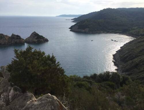 Le Fort de l’Estissac à Hyères, un joyau historique dominant l’île de Port-Cros