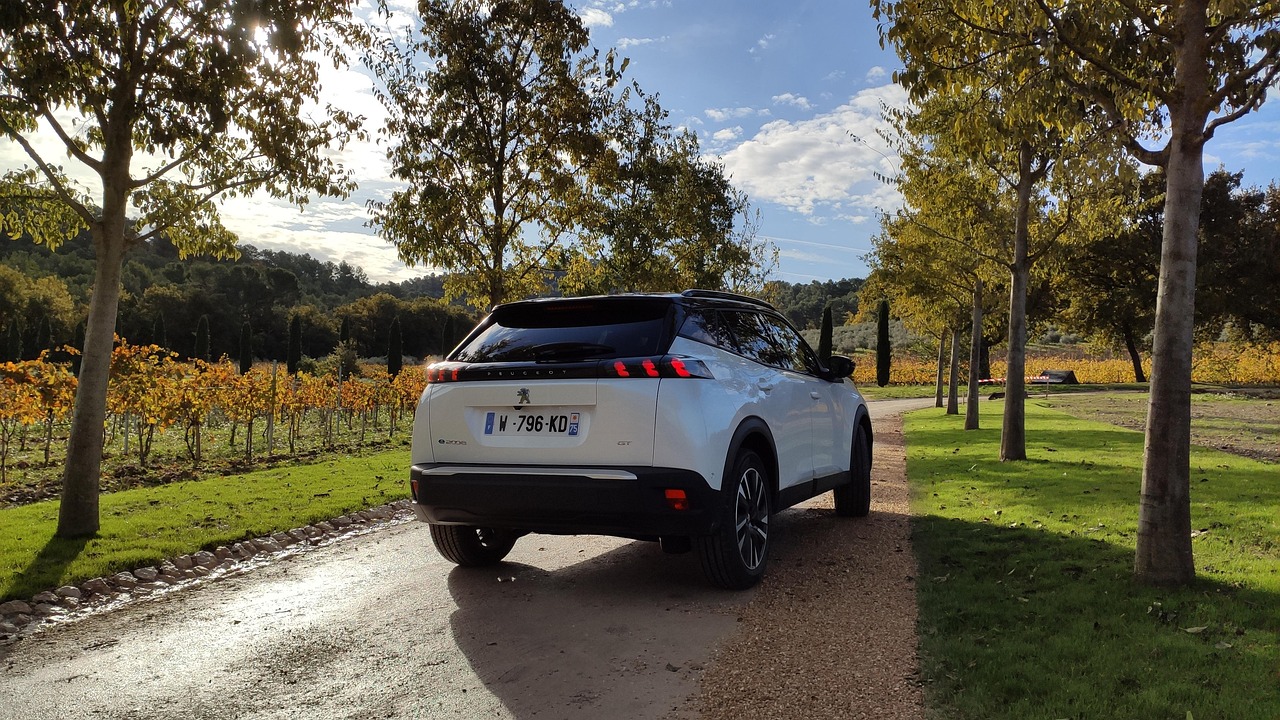 Vols de voitures Peugeot, Citroën et DS dans la métropole lilloise