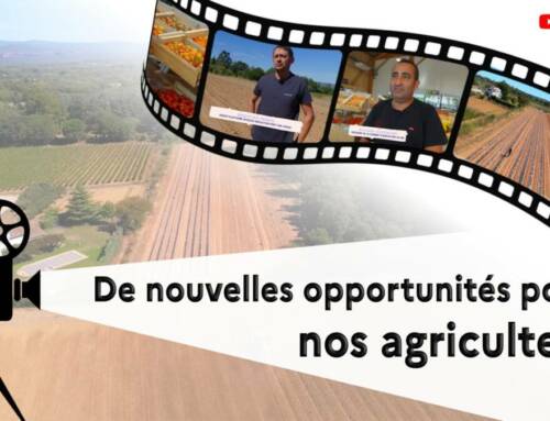 Vers une restauration collective plus locale et durable dans le Var