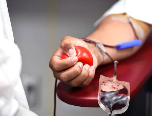 Don de sang à Saint-Mandrier : un geste vital pour les patients atteints de cancer