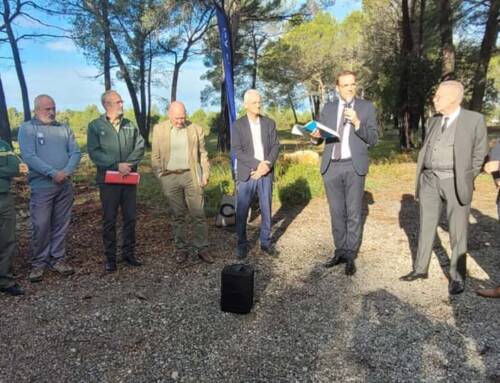 Nouvelles règles de débroussaillement dans le Var pour mieux prévenir les incendies