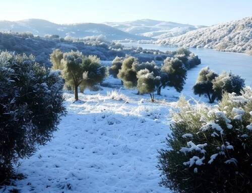 Des températures contrastées dans le Var le 6 octobre : l’effet des microclimats en action