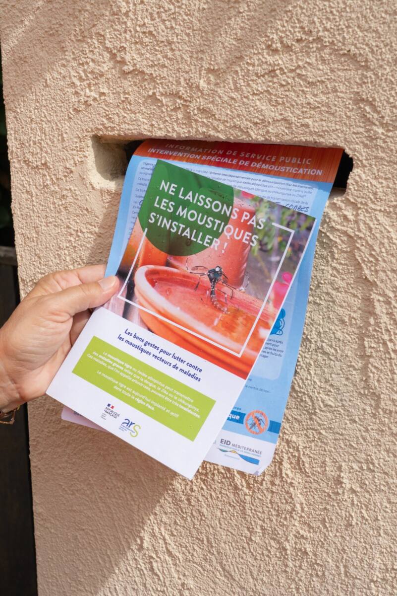 chikungunya Antibes
