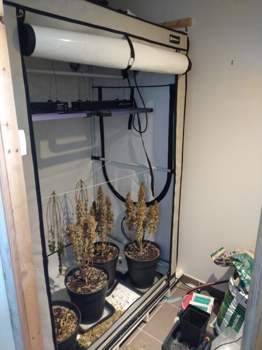 Saisie cannabis Saint-Maximin