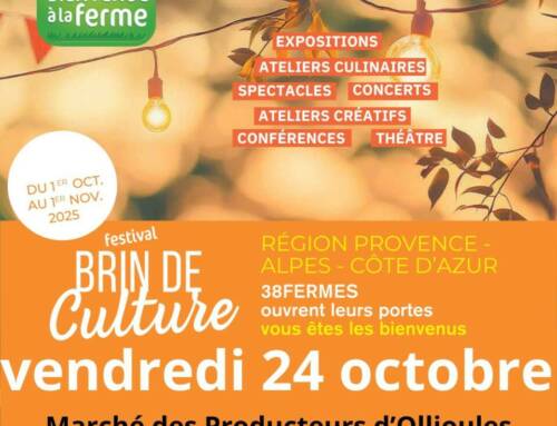 Ollioules fête le terroir et la convivialité avec le festival “Brin de Culture” et son marché des producteurs