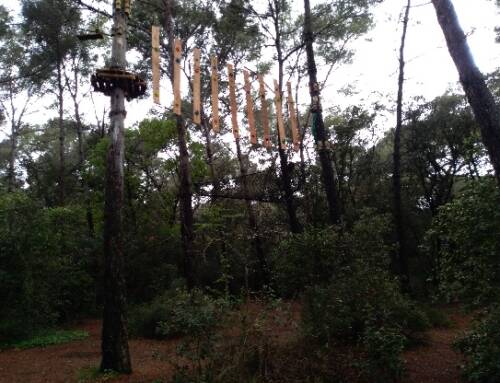 Aoubre un écrin de nature à Flassans-sur-Issole