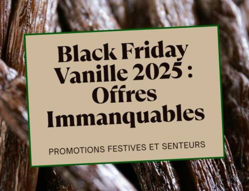 Black Friday Vanille 2025 : La Gousse Parfumée, les Remises et le Vrai Bon Plan pour Noël