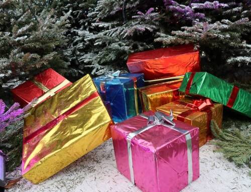 Black Friday dans le Var faut-il acheter maintenant les cadeaux de Noël ou attendre encore ?