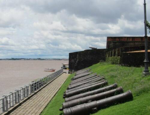 COP30 : Un incendie se déclare dans le Pavillon des Pays à Belém, la Zone Bleue évacuée