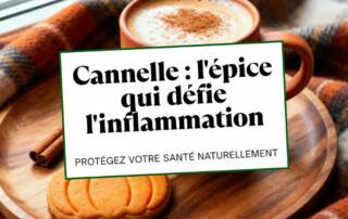 Cannelle L'épice qui défie l'inflammation et protège votre santé
