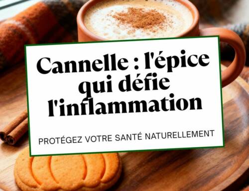 Cannelle L’épice qui défie l’inflammation et protège votre santé