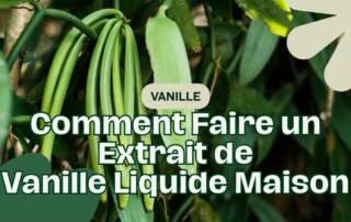 Comment Faire un Extrait de Vanille Liquide Maison Le Guide Ultime (Même Sans Alcool)