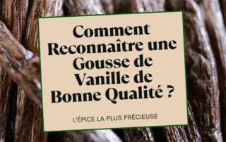 Comment Reconnaître une Gousse de Vanille de Bonne Qualité