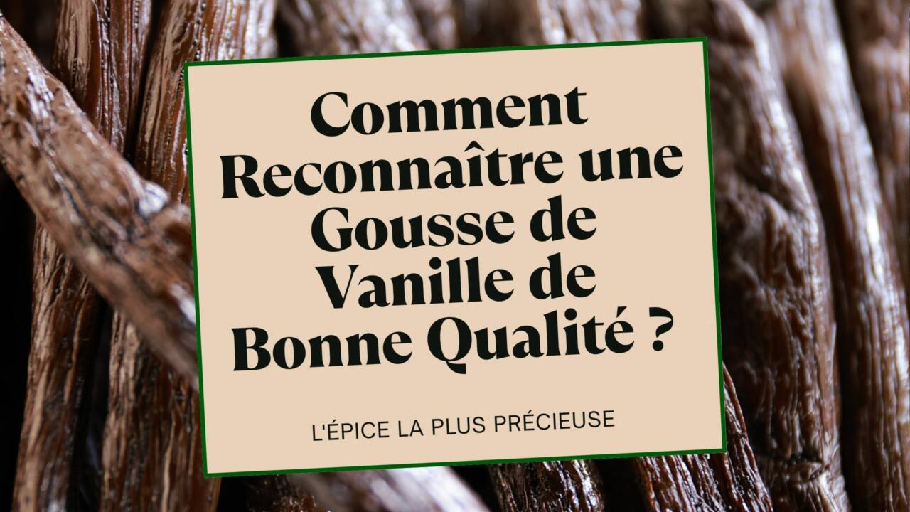 Comment Reconnaître une Gousse de Vanille de Bonne Qualité