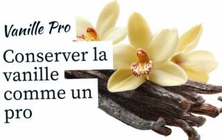 Conservation de la Vanille Les Erreurs Fatales qui Ruinent vos Gousses (et la Méthode Experte pour les Conserver)