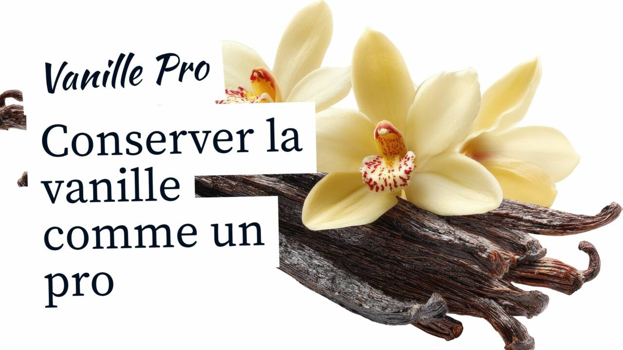 Conservation de la Vanille Les Erreurs Fatales qui Ruinent vos Gousses (et la Méthode Experte pour les Conserver)