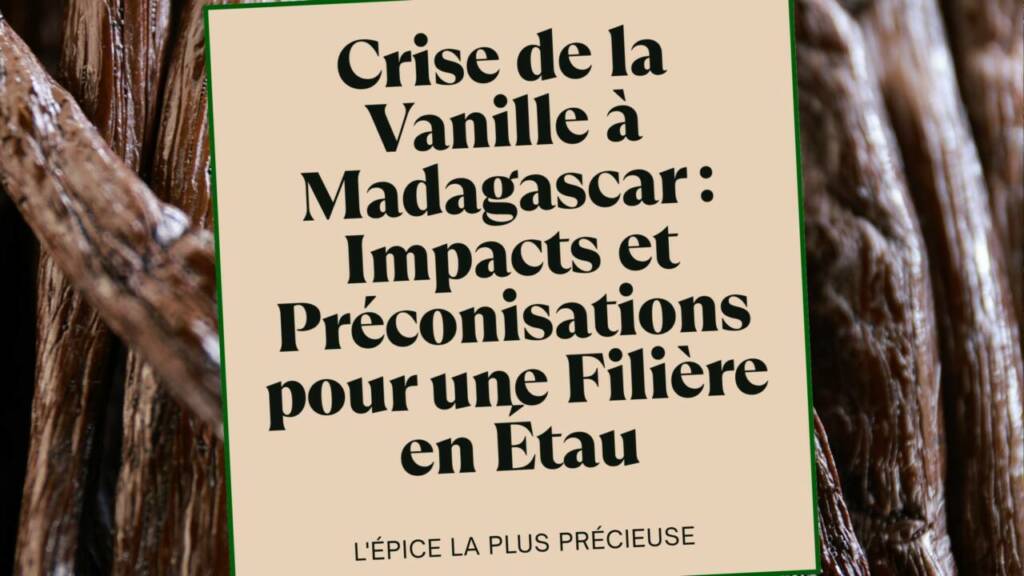 Crise de la Vanille à Madagascar  Impacts et Préconisations pour une Filière en Étau