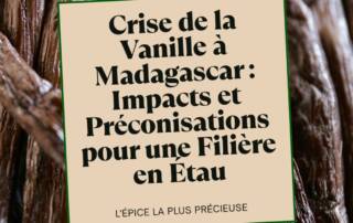 Crise de la Vanille à Madagascar Impacts et Préconisations pour une Filière en Étau