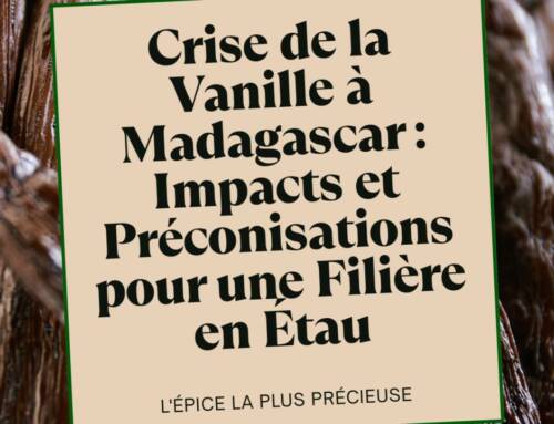 Crise de la Vanille à Madagascar : Impacts et Préconisations pour une Filière en Étau
