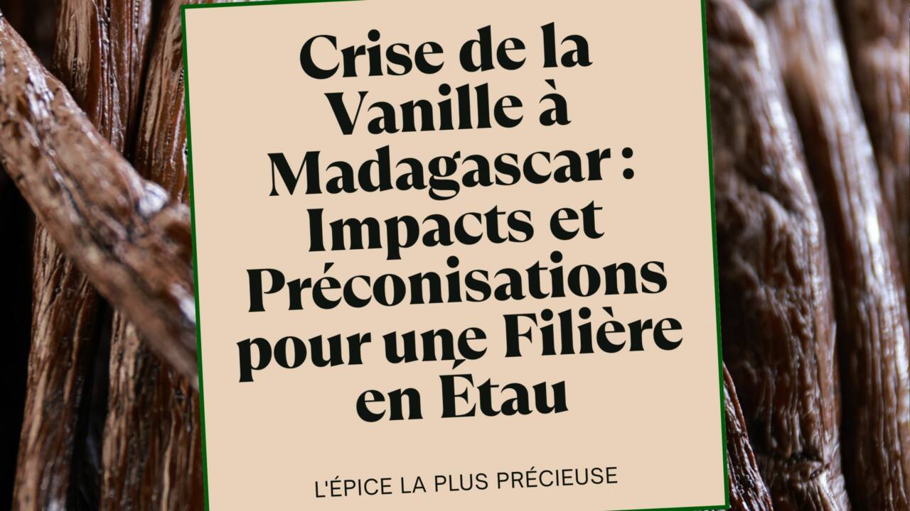 Crise de la Vanille à Madagascar Impacts et Préconisations pour une Filière en Étau