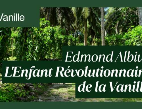 Edmond Albius : L’esclave de 12 ans qui a révolutionné la vanille dans le monde 