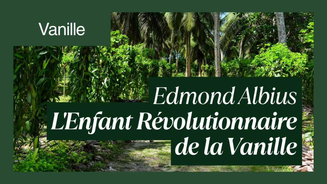 Edmond Albius L'esclave de 12 ans qui a révolutionné la vanille dans le monde