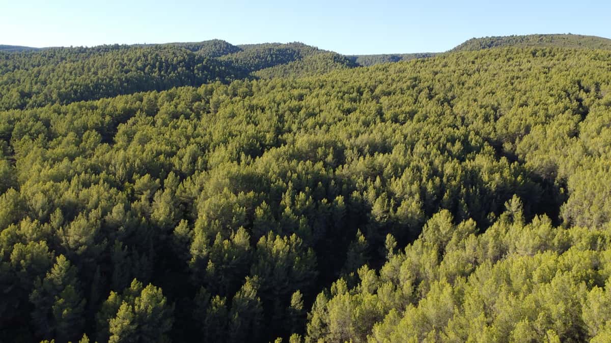 disparitions lecteurs varois Projets Var 2025