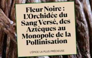 Fleur Noire L'Orchidée du Sang Versé, des Aztèques au Monopole de la Pollinisation