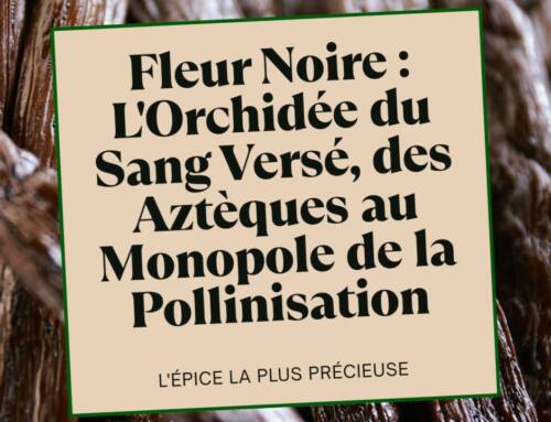 Fleur Noire : L’Orchidée du Sang Versé, des Aztèques au Monopole de la Pollinisation