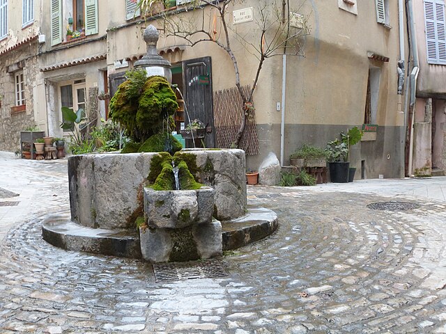 Fontaine Poissonnerie Bargemon