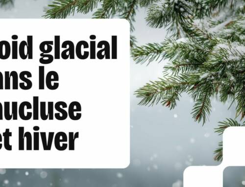 Froid dans le Vaucluse : L’hiver frappe fort, comment adapter votre immunité ?