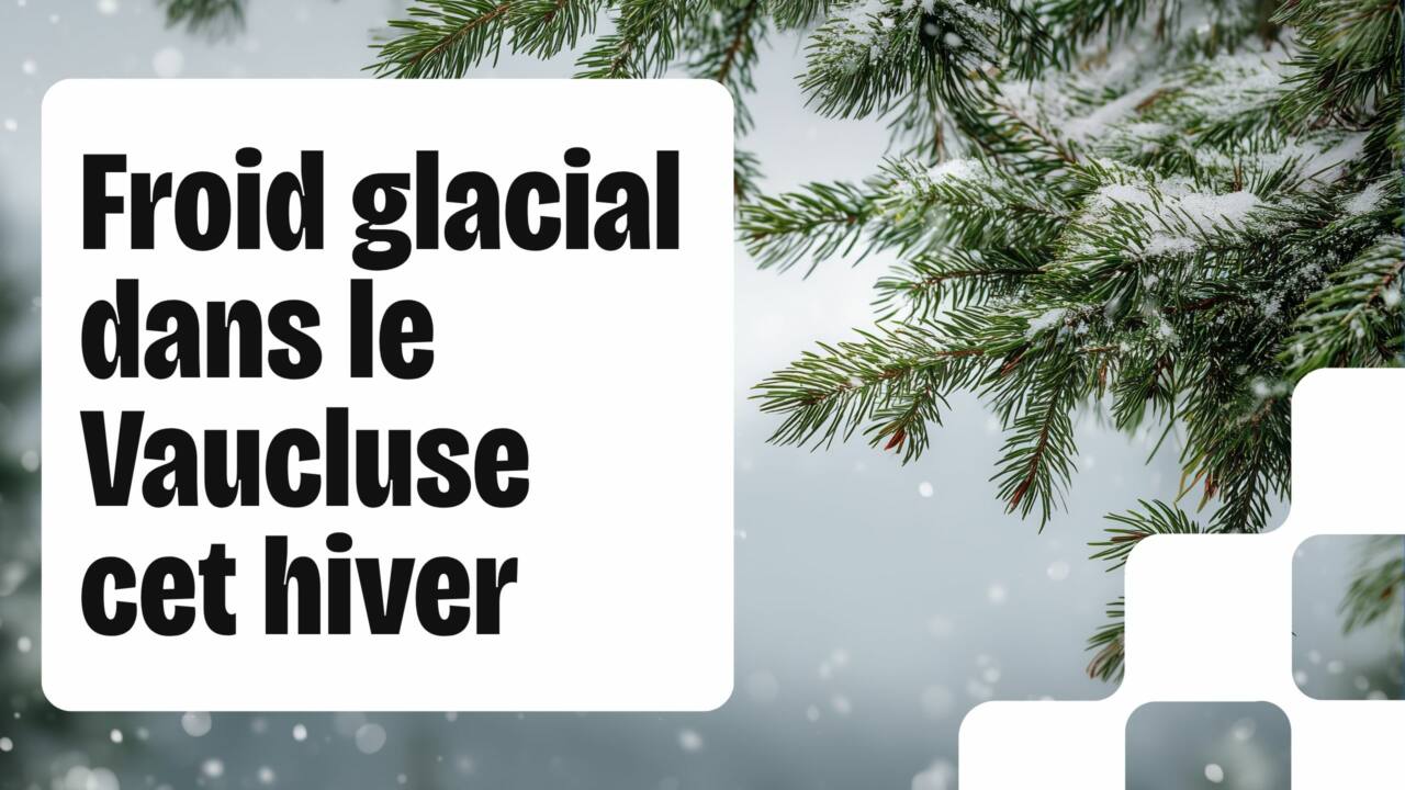 Froid dans le Vaucluse L'hiver frappe fort, comment adapter votre immunité  