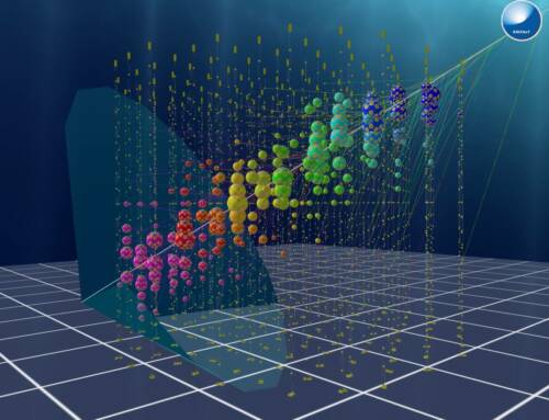 Une découverte exceptionnelle de répercution mondiale à La Seyne-sur-Mer