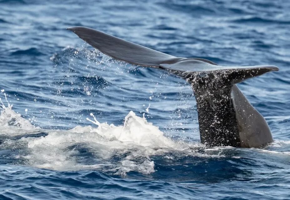 Agenda du Var du 17 au 21 novembre 2025 : cinéma, théâtre, littérature, sport et concerts à Toulon, Hyères, Fréjus et La Seyne.