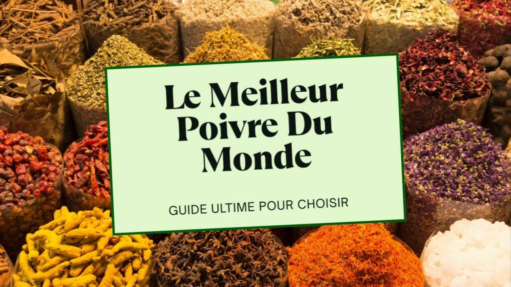 Le Meilleur Poivre Du Monde  Guide Ultime Pour Choisir Un Poivre D'Exception