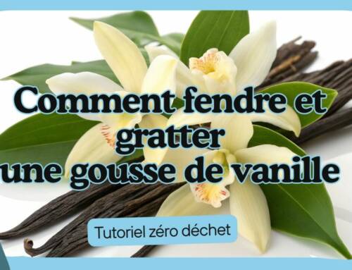 Le guide ultime comment fendre et gratter une gousse de vanille tutoriel zéro déchet
