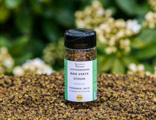Le poivre de Sichuan vert pourquoi il est parfait pour les fêtes
